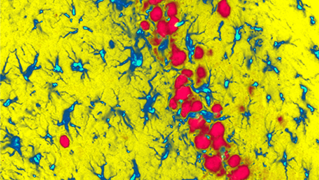 An Introduction to Scientific Rigor