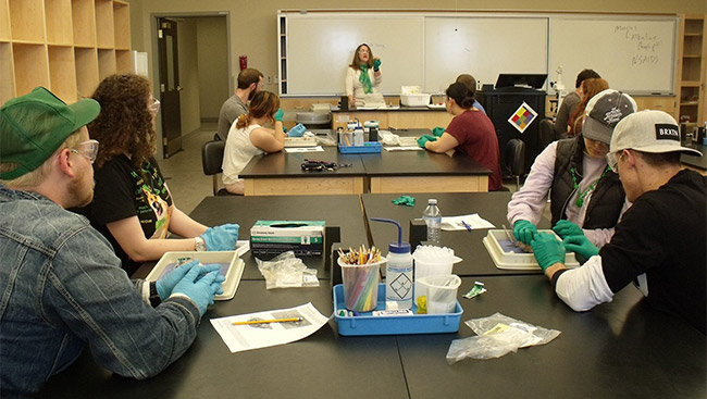 A neuroscientist explains the importance of hybrid courses to a group of students 