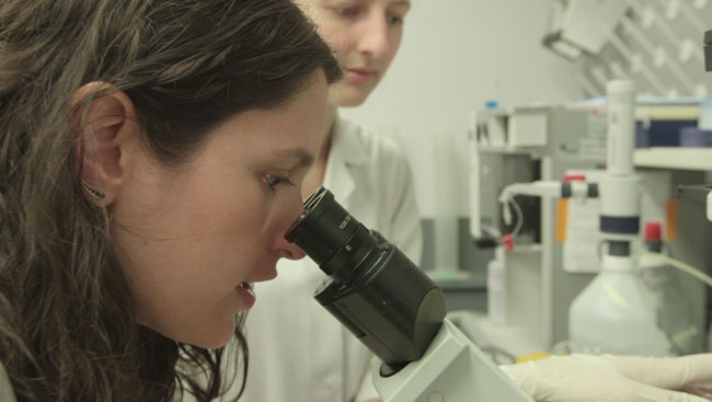 Neuroscientist looks into microscope