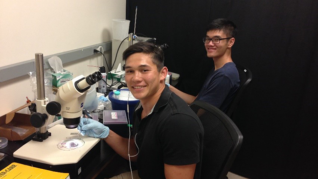 Two undergraduates conduct research in a lab during their summer break. 