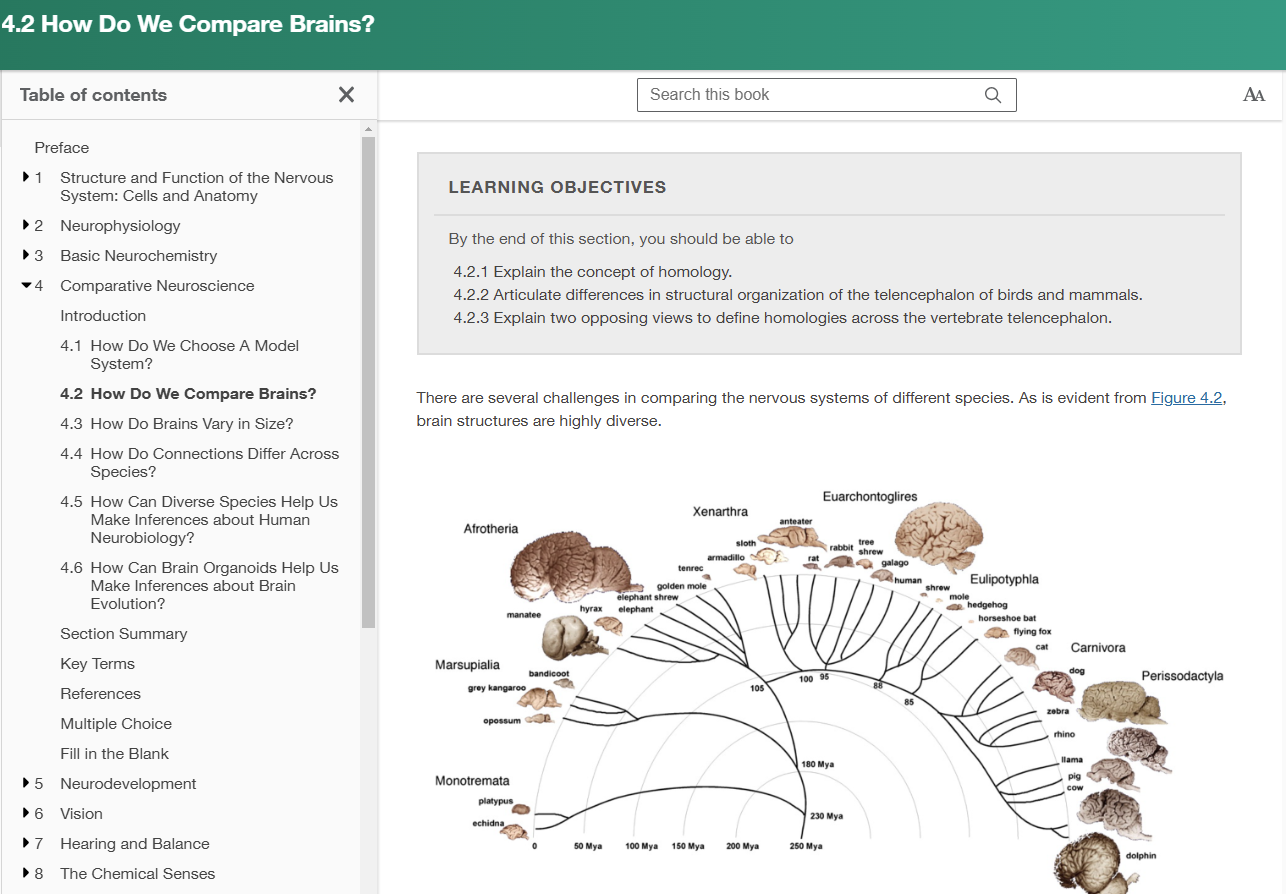 Textbook screenshot about Neurons