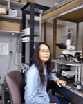 June-Liu-1