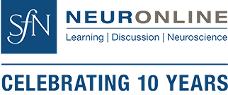 Neuronline footer 10 year anniversary logo