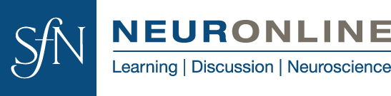 Neuronline logo featuring the SfN logo in a blue box with Neuronline written in blue and gold text. Below the word Neuronline reads "Learning,  Discussion, Neuroscience"