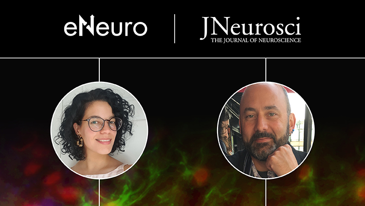 Journals in Conversation Webinar: Language Exposure and Brain Myelination in Early Development