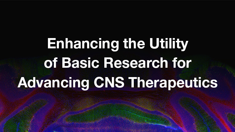 Enhancing the Utility of Basic Research for Advancing CNS Therapeutics image