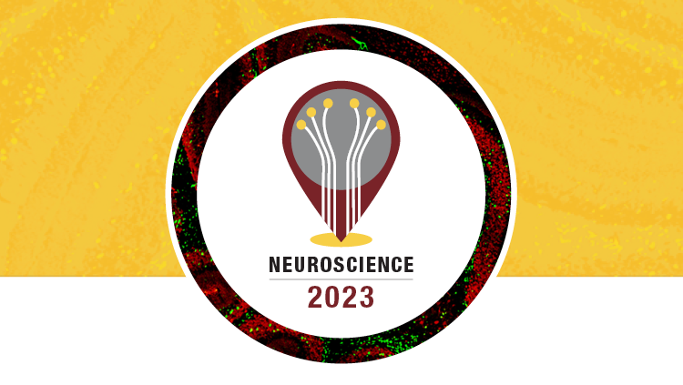 How to Submit an Impactful Abstract for Neuroscience 2023