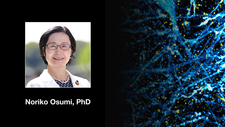 Networking, Mentoring, and Diversity in Neuroscience