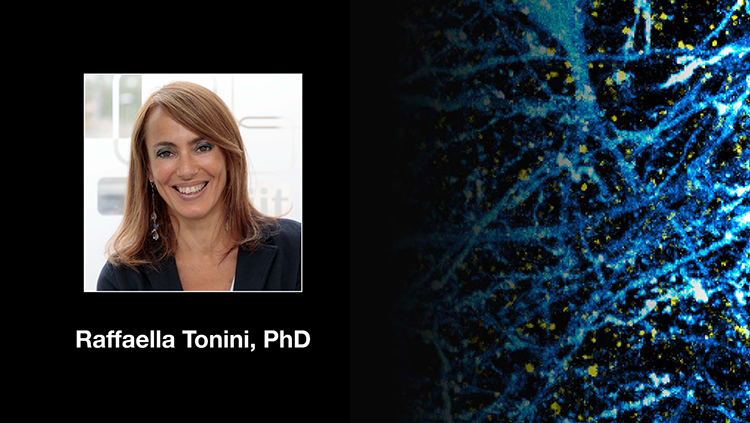 Where and When Neuromodulatory Signaling Meets Behavior