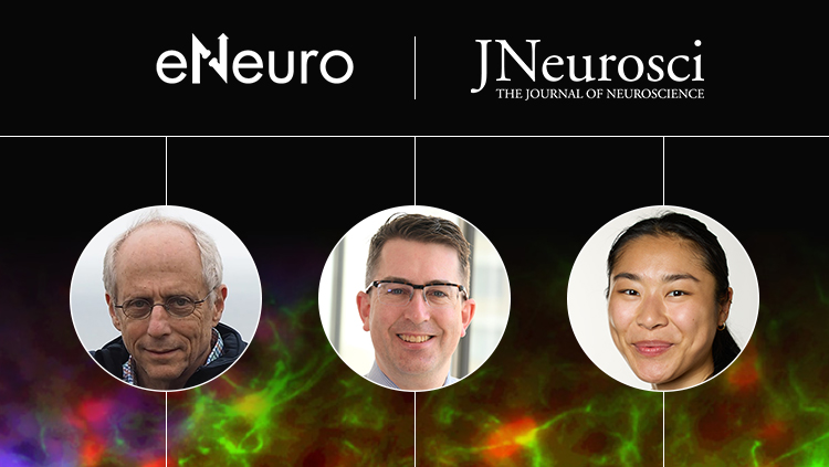 From Data to Practice: Assessing New Alzheimer's Disease Therapies