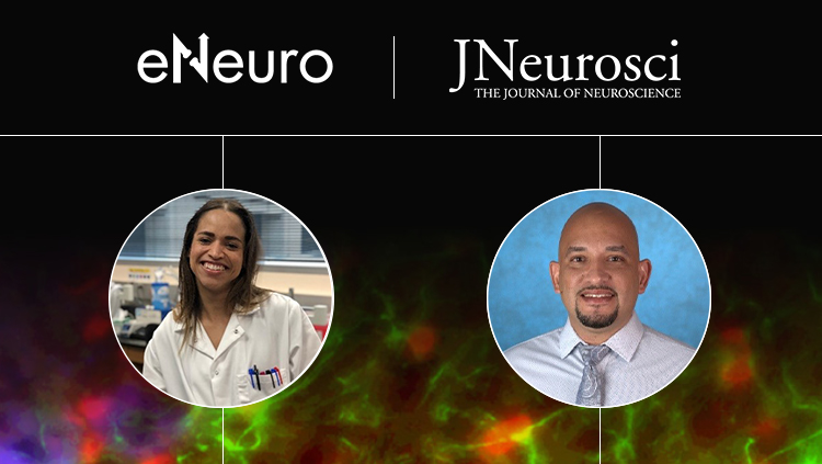 Prefrontal Regulation of Safety Learning during Ethologically Relevant Thermal Threat