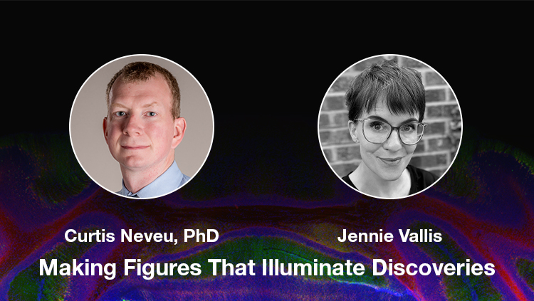 Making Figures That Illuminate Discoveries