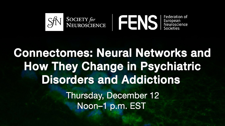 Neural Networks and How They Change in Psychiatric Disorders and Addictions