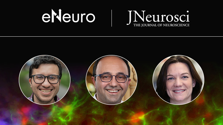 Intracranial Recordings of the Human Orbitofrontal Cortical Activity