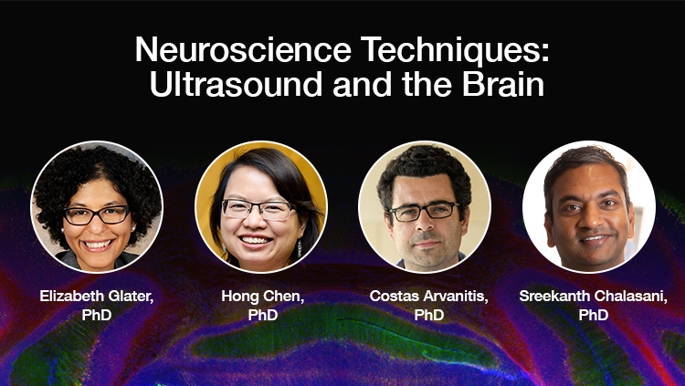 Neuroscience Techniques: Ultrasound and the Brain