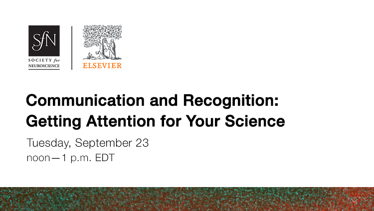 Communication and Recognition thumbnail