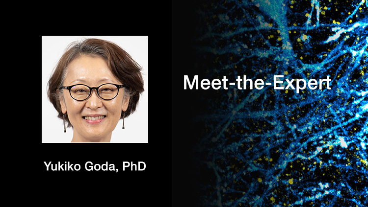 Meet the Experts - Yukiko Goda, PhD