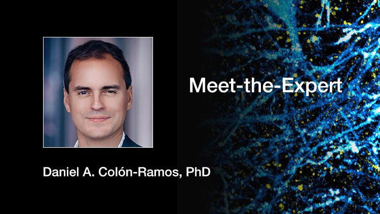 Powering the Brain: A Journey Into the Cell Biology of Energy Metabolism thumbnail