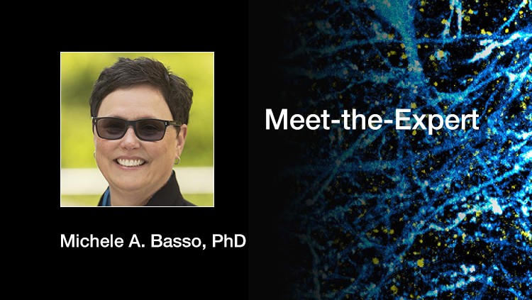 Nonhuman Primate Neuroscience: A 20-Year History of Unplanned Advocacy thumbnail