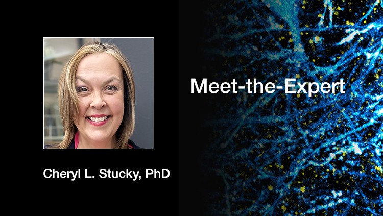 No Pain, No Gain: Advice for Turbulent Times in Neuroscience Research  