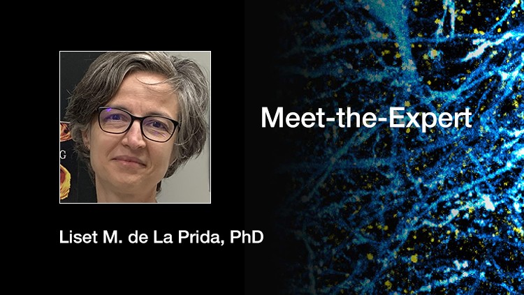 Navigating the Memory Space: How Embracing Biological Complexity Uncovers the Brain's Hidden Dynamics thumbnail