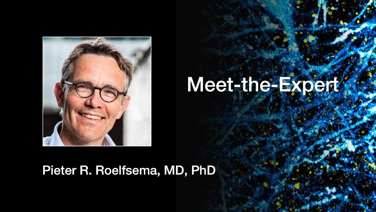 Conscious Vision and its Restoration in Blindness thumbnail