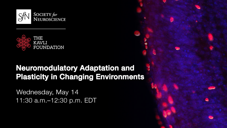 Neuromodulatory Adaptation and Plasticity in Changing Environments webinar thumbnail