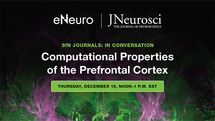 Computational Properties of the Prefrontal Cortex thumbnail