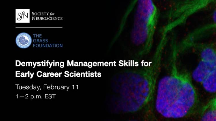 Webinar thumbnail