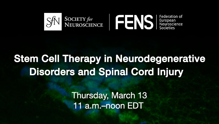 Stem Cell Therapy thumbnail