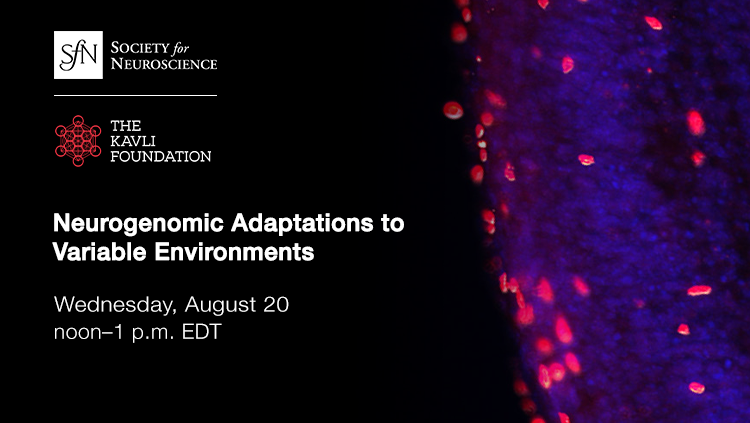 Neurogenomic Adaptations to Variable Environments thumbnail
