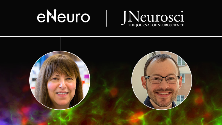 Development of Cortical Somatostatin Innervation thumbnail with speaker headshots