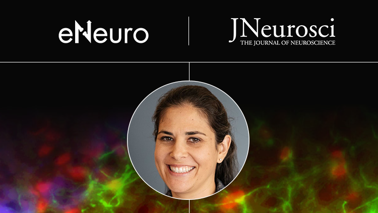 20262002-March 12 2026_Journals Thumbnail