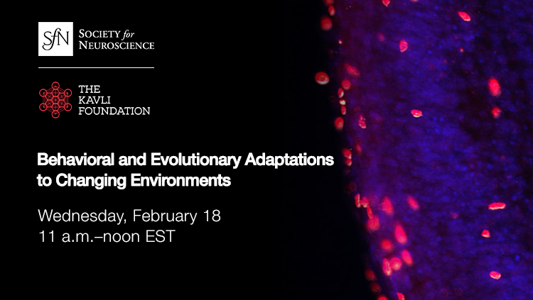 Feb 18 26 Kavli Thumbnail