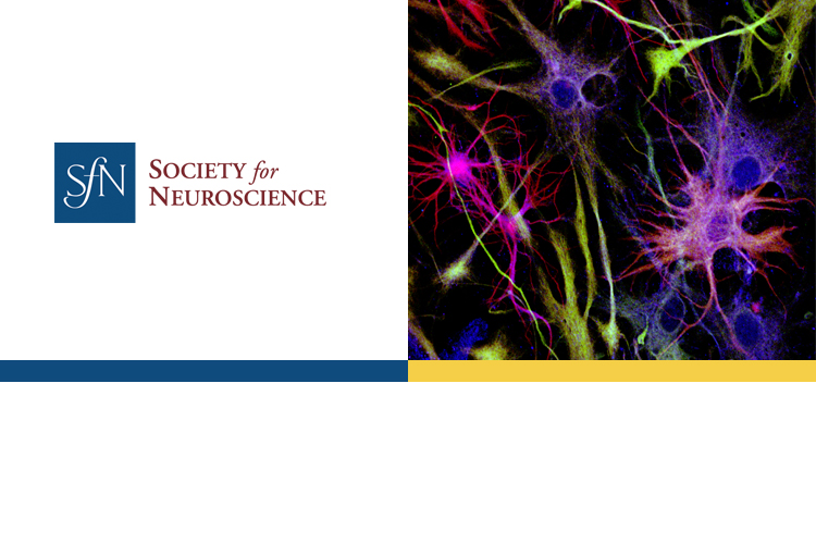 Generic Slider Image with SfN Logo