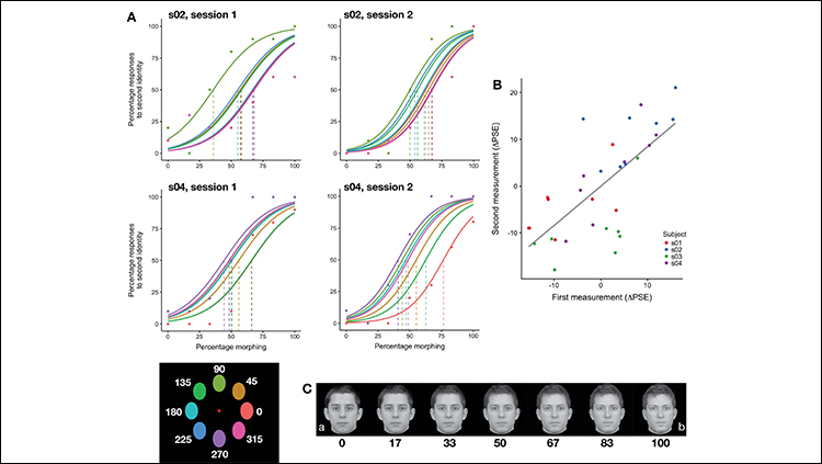 Learning to See Friendly Faces in Different Places