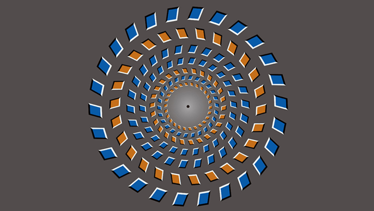 Brain Represents Optical Illusion as Delayed Reality
