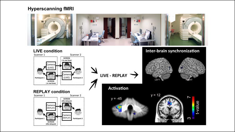 Eye Contact Prepares Brains for Social Interaction