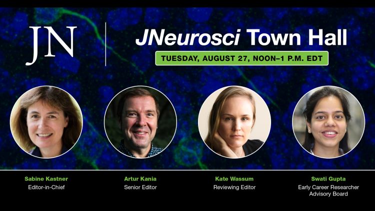 Town Hall image card