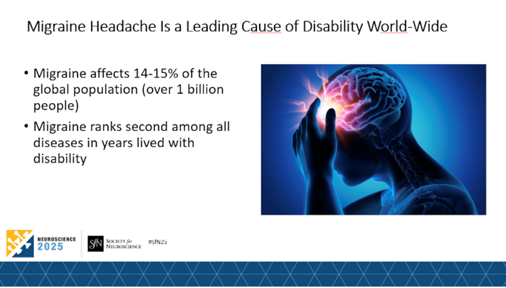 SfN Neuronline logo. Chapters Spotlight: Briana Pinales, PhD, SfN Sun City Chapter Founder