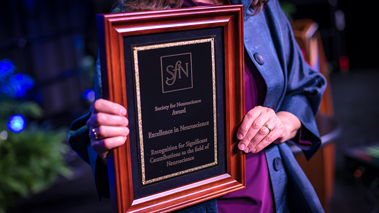 SfN annual awards and prizes.